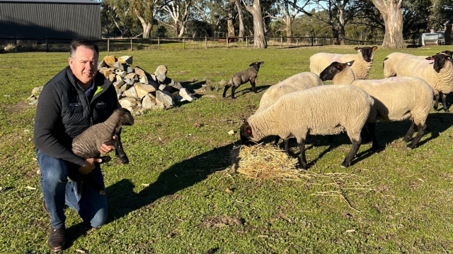 Leigh Whicker on his farm